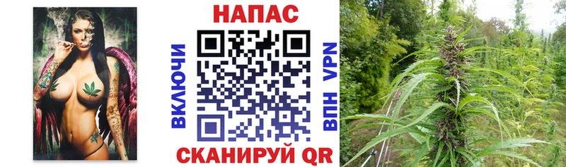 Купить где  Лосино-Петровский  Бошки марихуана планчик 